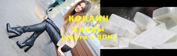 твердый Михайлов