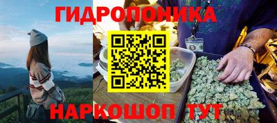 спайс Будённовск