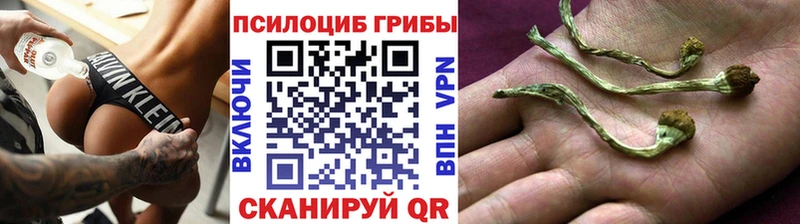 Псилоцибиновые грибы мухоморы  купить наркотики цена  Воронеж 
