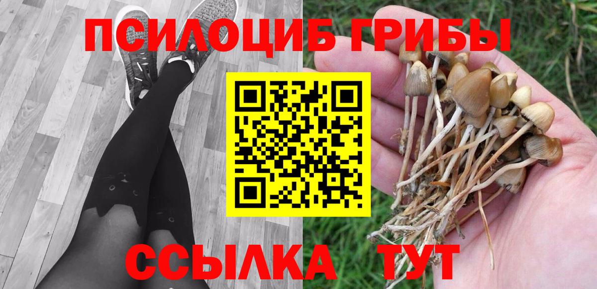 Воронеж  Псилоцибиновые грибы прущие грибы  Вход с VPN  Галлюциногенные грибы Cubensis 