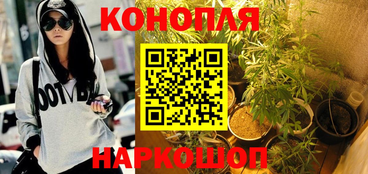 Конопля планчик  Шишки марихуана индика  МАРИХУАНА планчик  Воронеж 